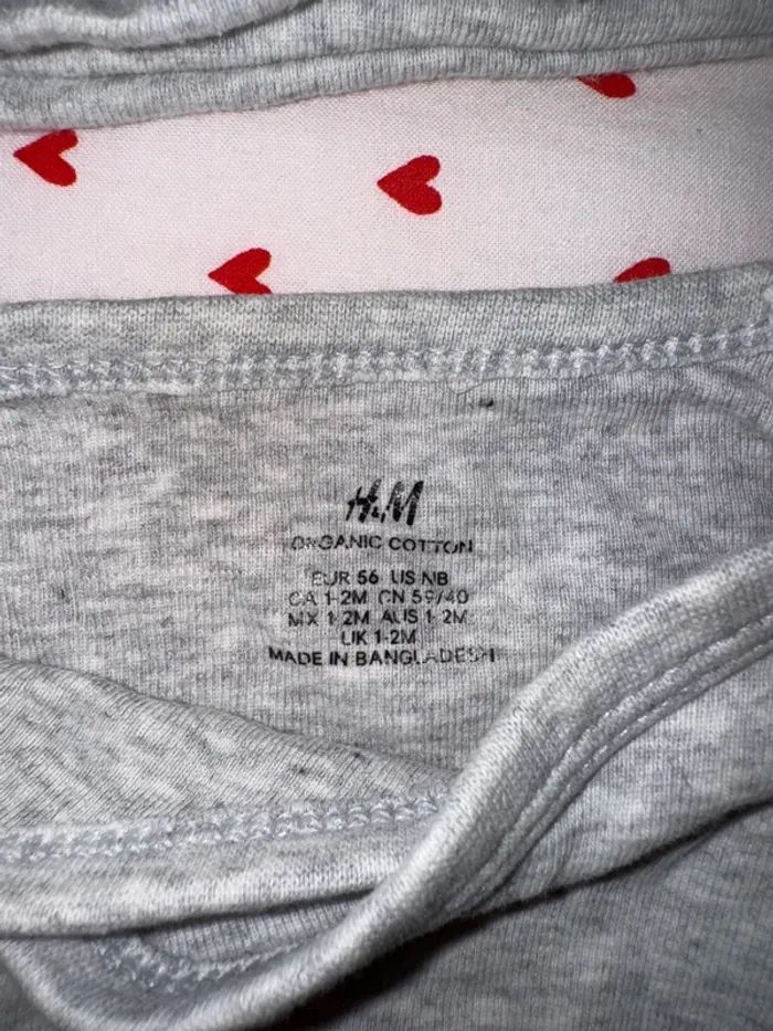 Body + bonnet - photo numéro 3