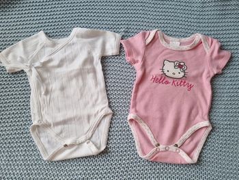 Lot de 2 bodies manches courtes fille