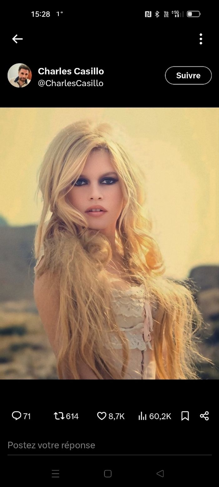 Cadre Brigitte bardot