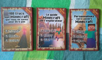Lot livres Minecraft