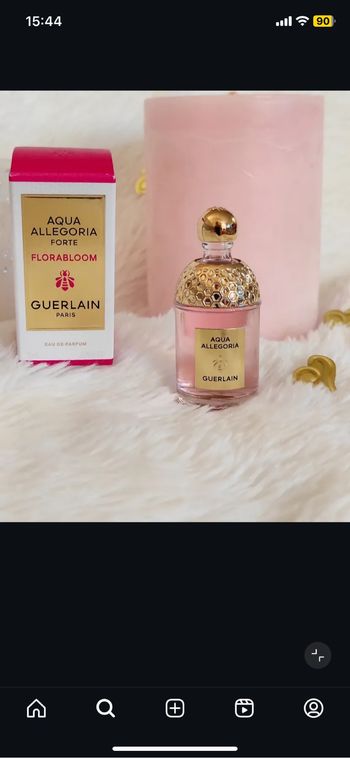 Miniature Aqua Allegoria forte Florabloom