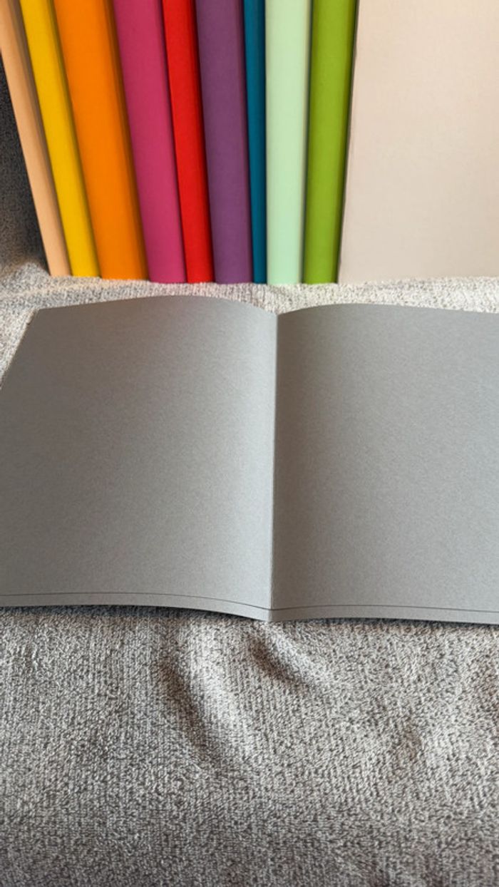 Ensemble de 5 chemises rigides gris foncé - photo numéro 4