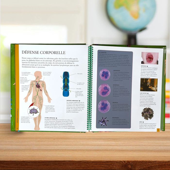 Livre éducatif illustré grand format + poster géant - Le corps humain - photo numéro 3