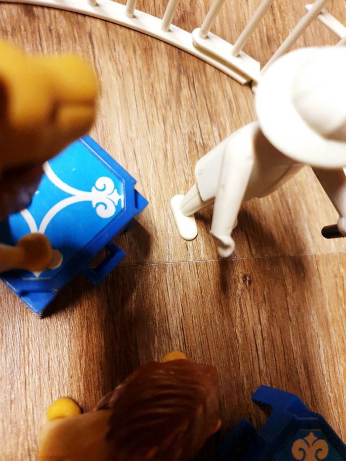 Playmobil - Cage lions vintage - photo numéro 4