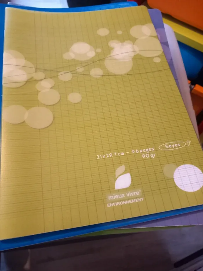 Cahier polypro 21x29,7 grands carreaux 96 pages