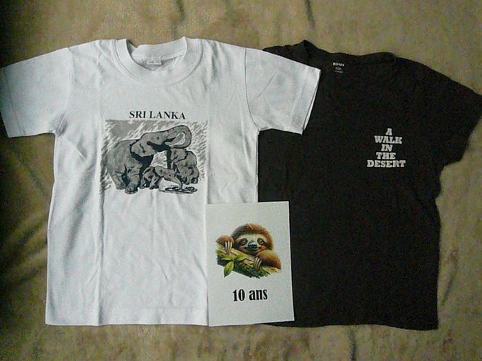 Lot de 2 tee-shirts garçon 10 ans (n°18)