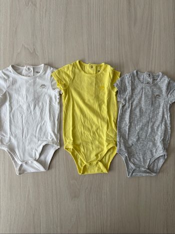 Bodies