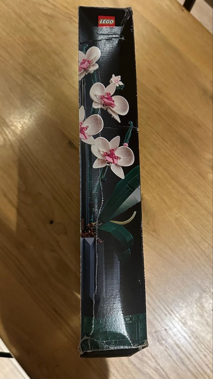 LEGO Orchidées 10311 - photo numéro 3