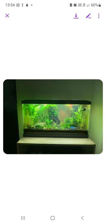 Aquarium 60L