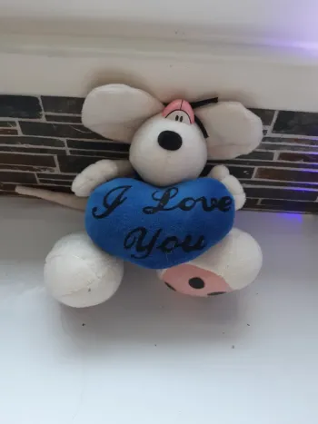 Peluche avec coeur
