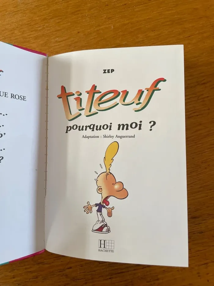 Livre fiteuf - photo numéro 3