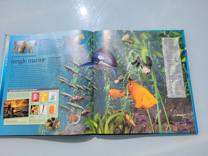 Livre Les Océans 🌊 à la loupe, éditions Larousse - photo numéro 10