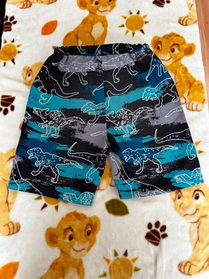 Short dinosaures - photo numéro 2