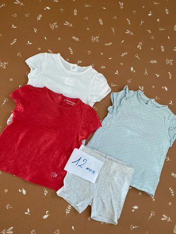 Lot tee-shirts + short 12 mois