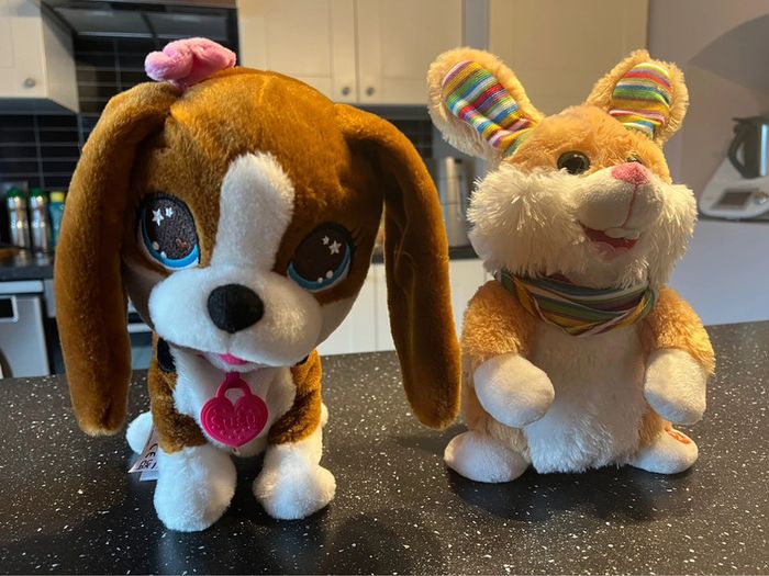 Lapin électronique - photo numéro 4