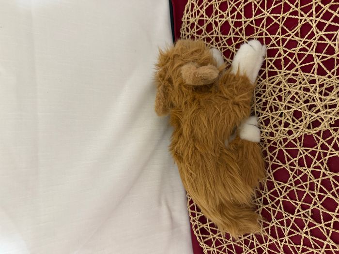 peluche vintage 1986 Humane Society Red - photo numéro 5