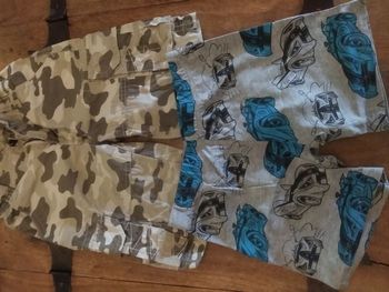Lot 2 shorts 98