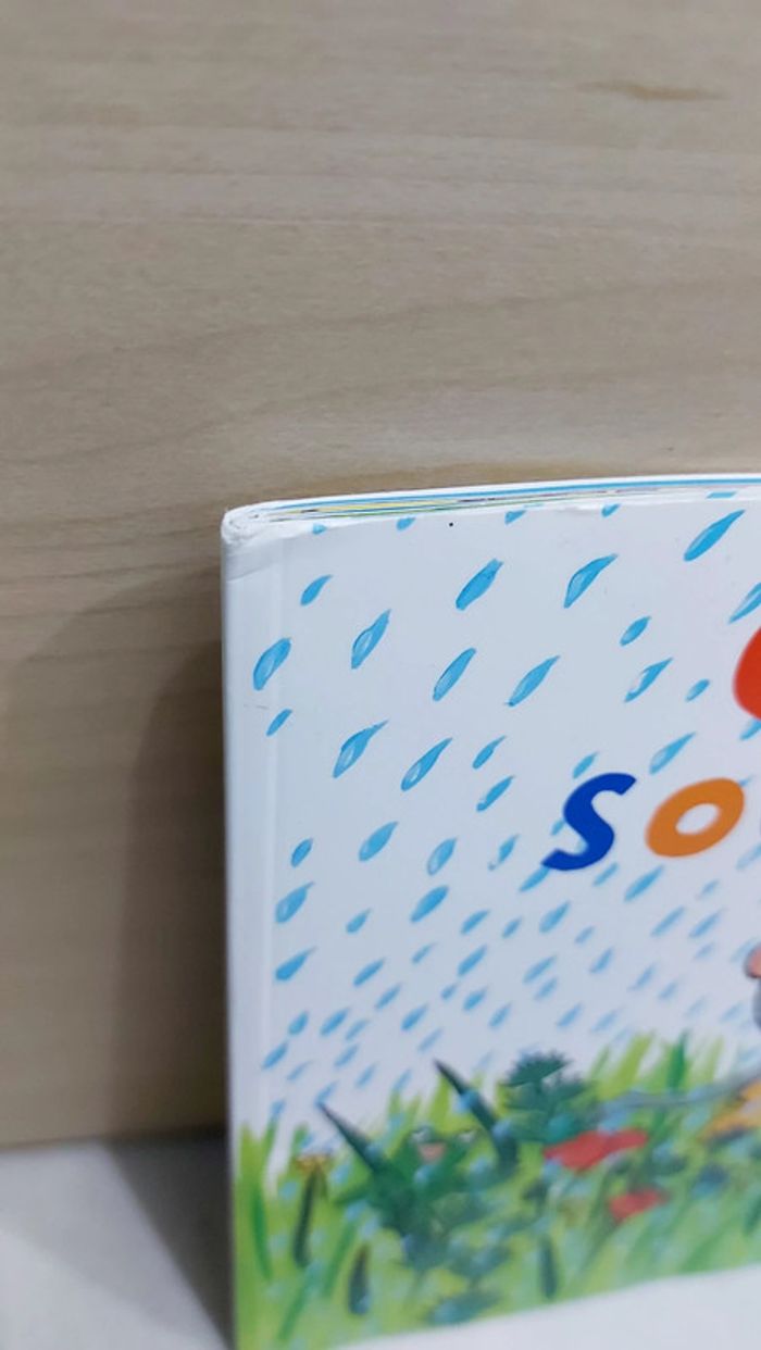 🌺 Livre (école des loisirs) : Chansons sous la pluie - photo numéro 7