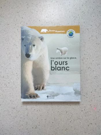 Une ombre sur la glace, l'ours blanc