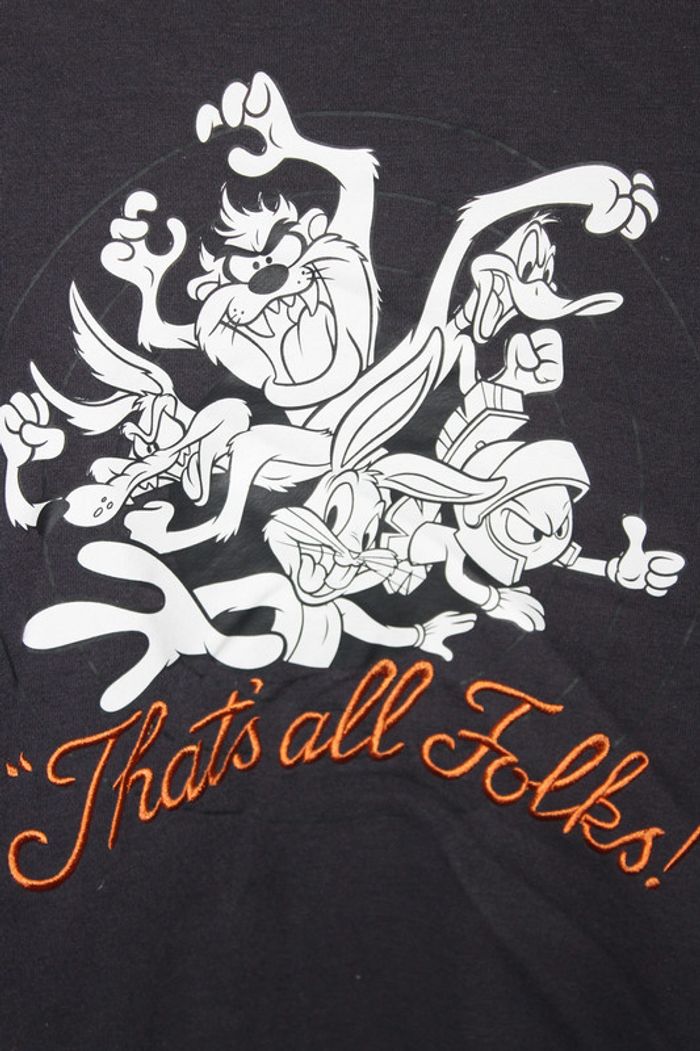 Pull Looney Tunes Sweatshirt crewneck brodé - photo numéro 2