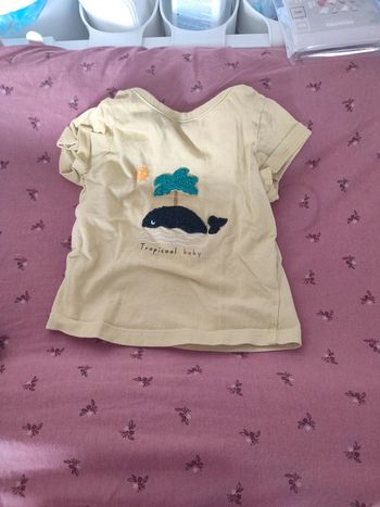 Lot de 5  t shirt manches courtes tape à l'oeil 6 mois