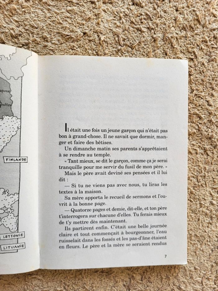 Livre Le merveilleux voyage de Nils Holgersson à travers La Suède de Selma Lagerlöf - Castor Poche - photo numéro 7