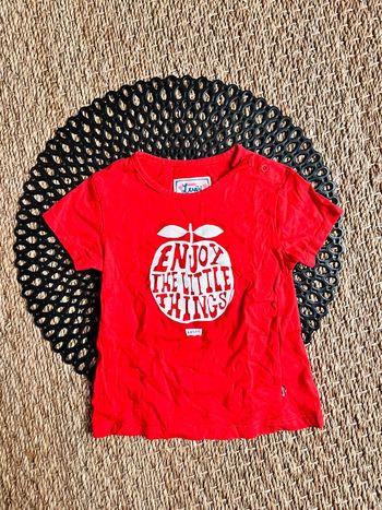 TEE shirt pomme levis