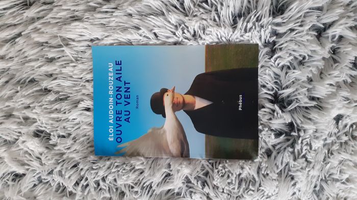 Roman Ouvre ton aile au vent d'Eloi Audoin-Rouzeau