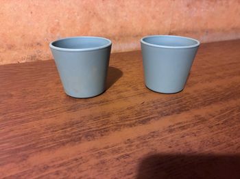 Pot de fleurs