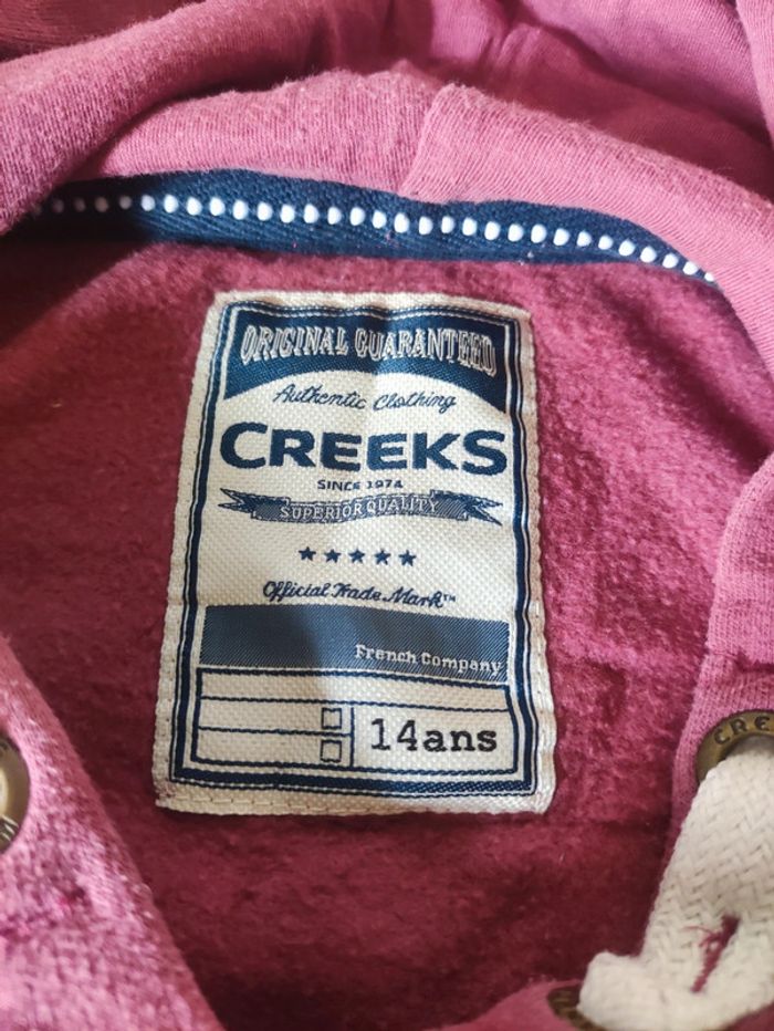 Sweat à capuche taille 14 ans - photo numéro 4