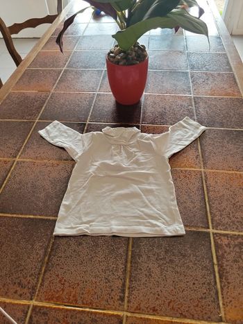 Tee shirt manches longues col roulé