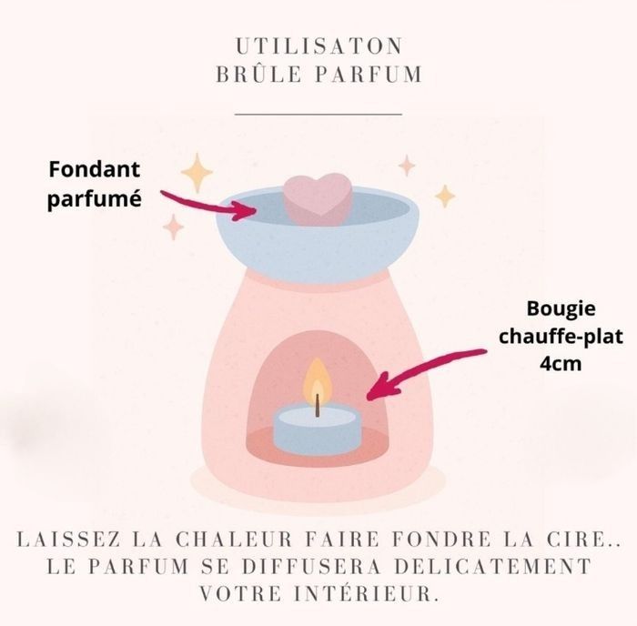 Coffret  découverte Fondants parfumés - photo numéro 8
