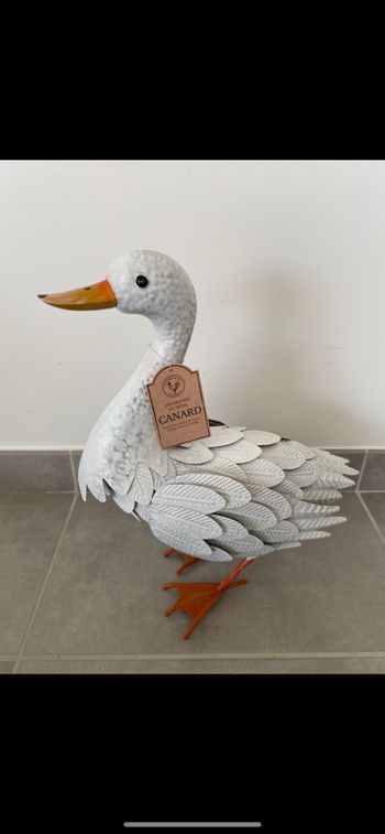 Joli Canard 🦆