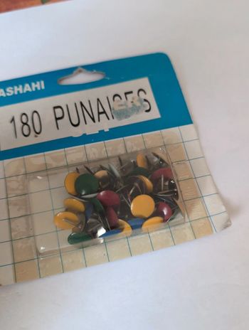 Punaises