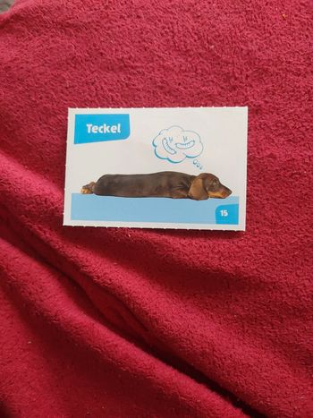 Autocollant nos amies les bêtes