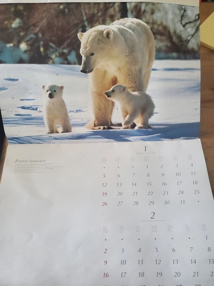 Forever Innocent animaux - photo numéro 2