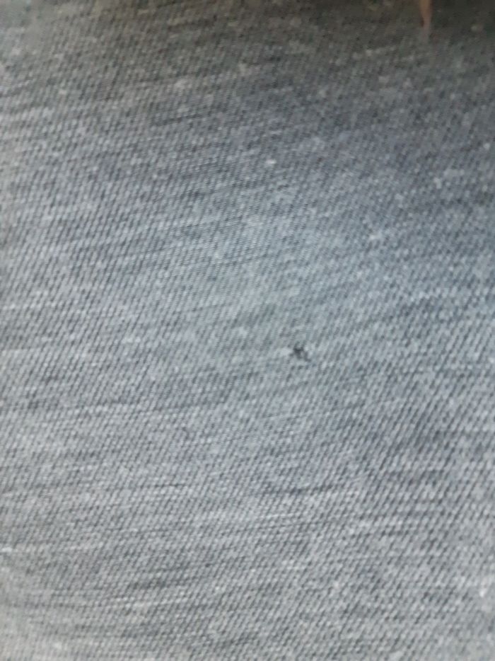 Pantalon Orchestra 2 ans - photo numéro 2