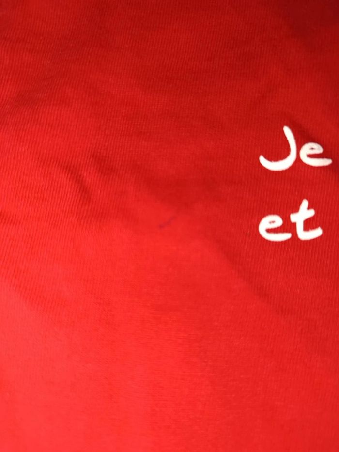 🌼 Tshirt grain de blé taille 18 mois 🩷 - photo numéro 3