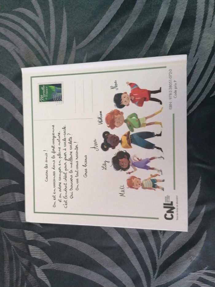 Livre mcdo cache cache ds les Vosges - photo numéro 3