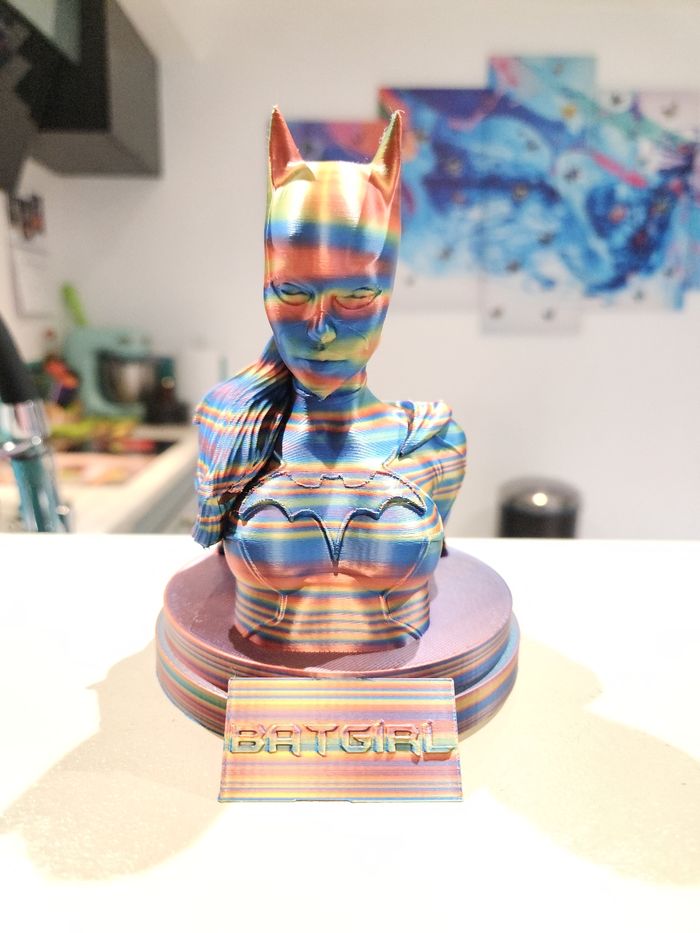 🦇 DC Comics – Batgirl – Buste collector – Figurine décorative - photo numéro 7