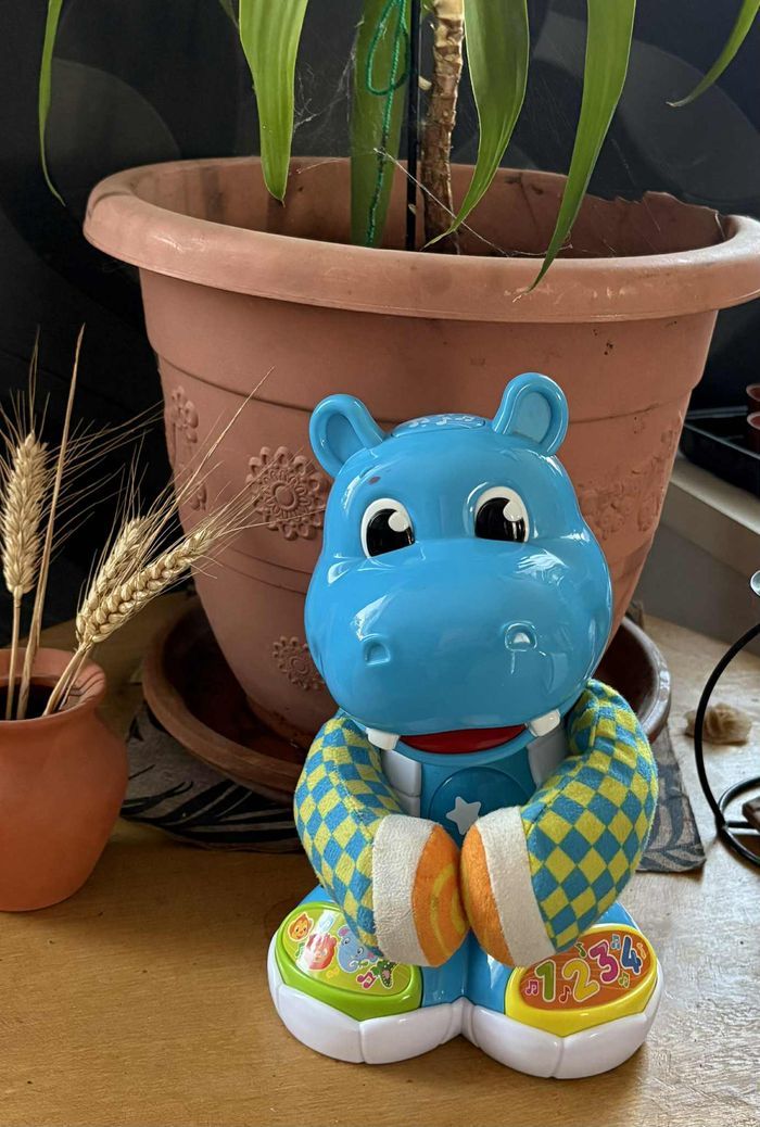 Filippo, l'ippopotamo ballerino