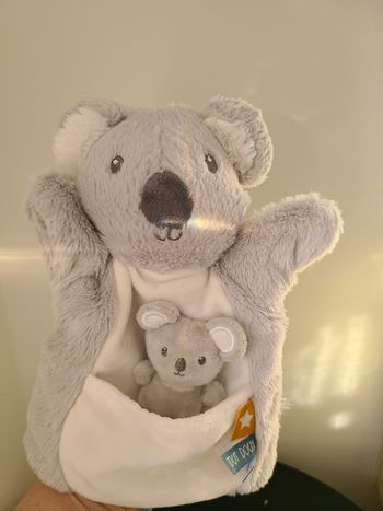 doudou koala
