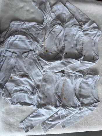 Lot 7 bodies