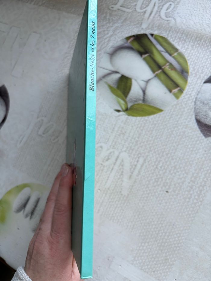 Livre Disney - photo numéro 7