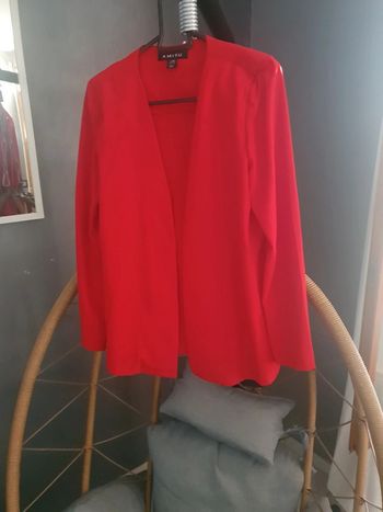 Veste rouge amisu