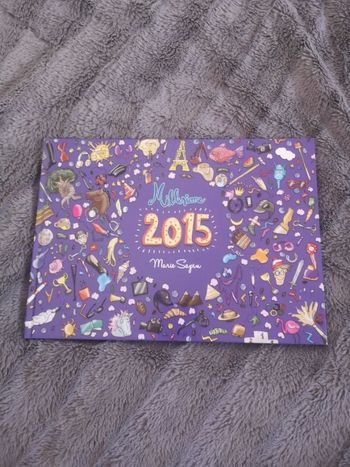 Livre équitation marie sapin