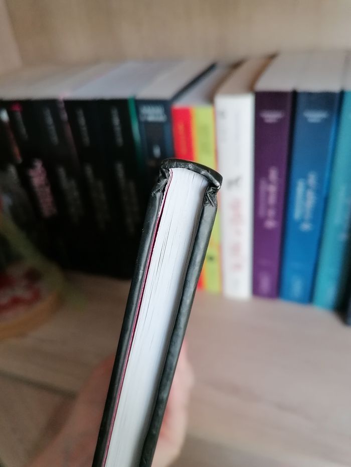 Agnès, les mystères de Planctonville - photo numéro 4