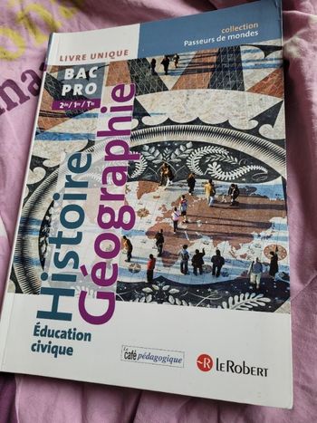 Histoire géographie Bac pro 2de 1re Tle
