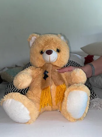 Ours en peluche