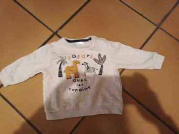 Sweat mes petits cailloux 9 mois